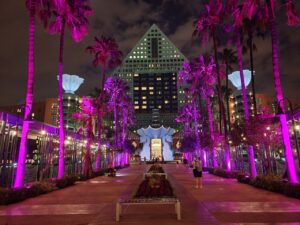 Disney World Dolphin Resort at Night